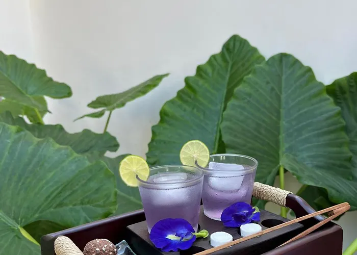 Tattva Retreat & Wellness ホテル