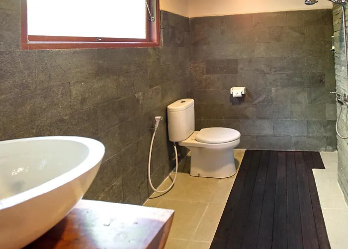 Tattva Retreat & Wellness ホテル 3*