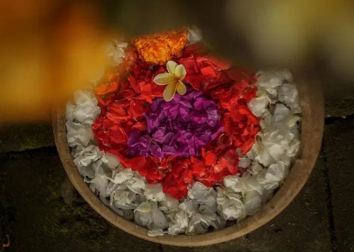 Tattva Retreat & Wellness 3*