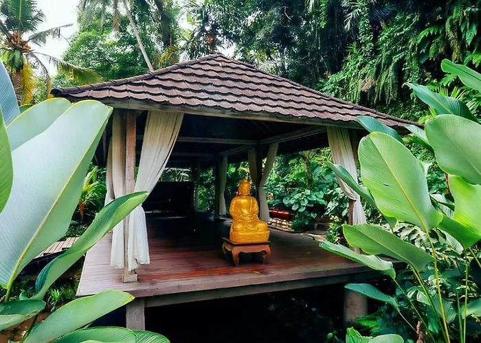 ホテル Tattva Retreat & Wellness 3*