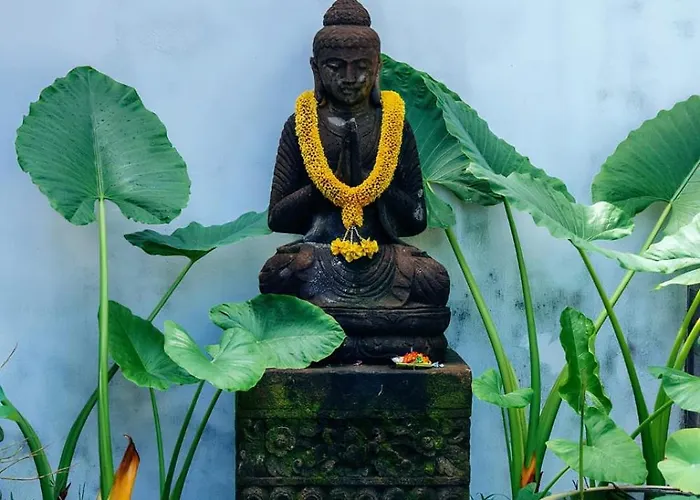 Tattva Retreat & Wellness ホテル 3*