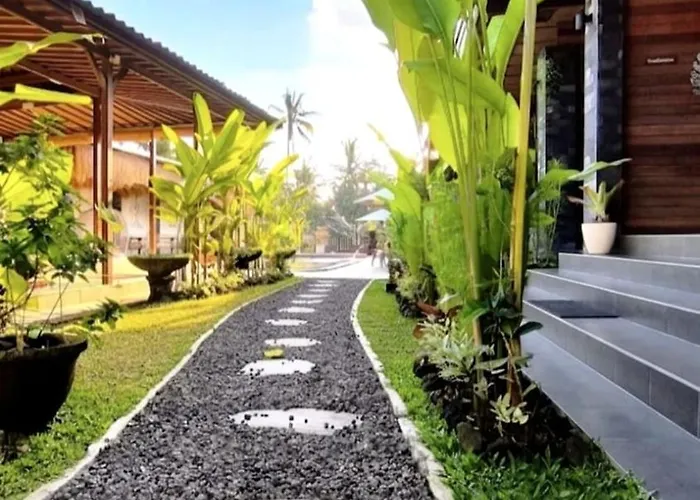 Tattva Retreat & Wellness ホテル 3*