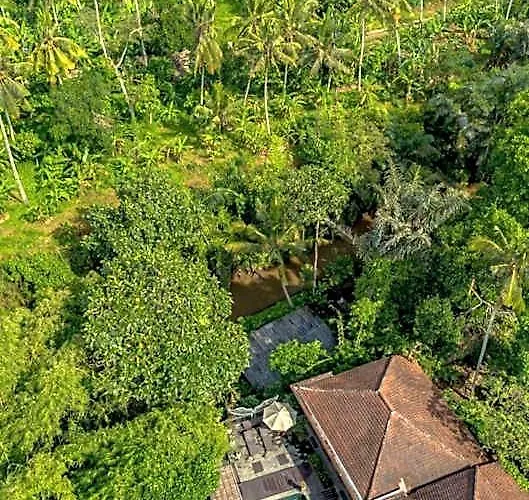 Tattva Retreat & Wellness ホテル 3*