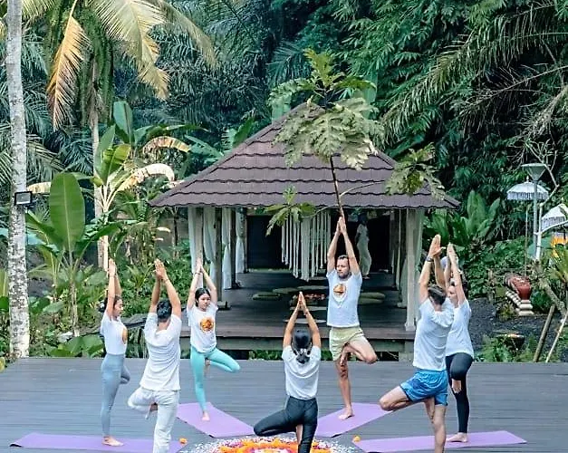 ホテル Tattva Retreat & Wellness