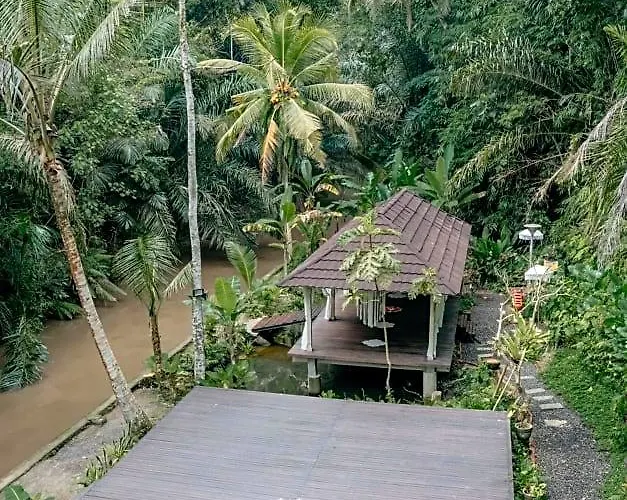 Tattva Retreat & Wellness 3* ウブド