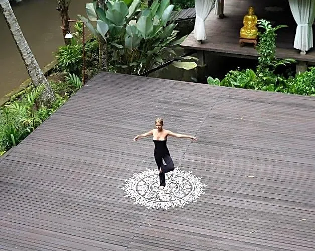 Tattva Retreat & Wellness ホテル 3*