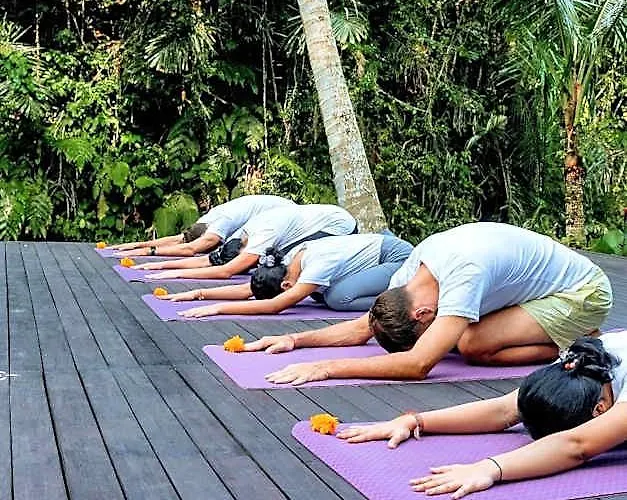 ホテル Tattva Retreat & Wellness